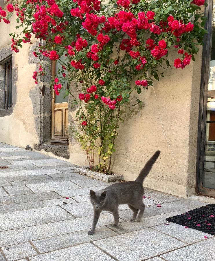 La Maison - Hotel & Gite ラギオール エクステリア 写真